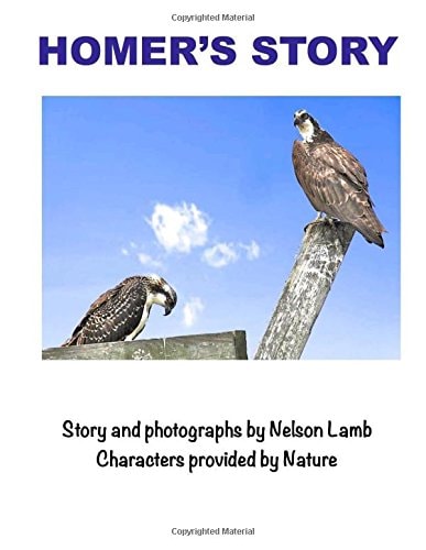 Homer's Story