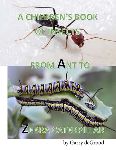 A Children's Book of Insects from A-Z An Introduction to Entomology Using Rhyme for Ages 6 and Up. .