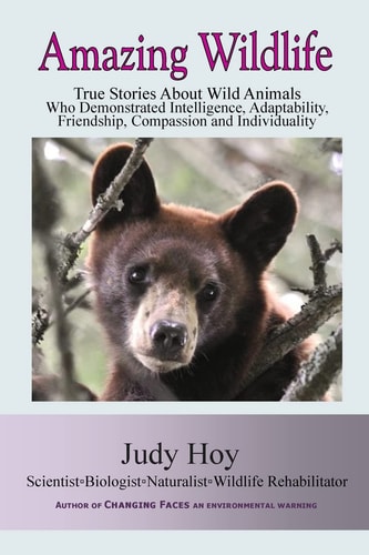 Amazing Wildlife Amazing Wildlife: True Stories About Wild Animals Who Demonstrated Intelligence, Adaptability, Friendship, Compassion and Individuality
