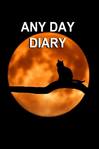Any Day Diary 6" X 9" One Day Per Page Format