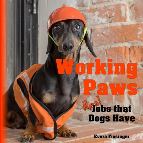 Working Paws Real Jobs that Dogs Have
