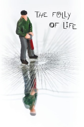 The Folly of Life