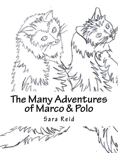 Marco and Polo The Marvels of Their World