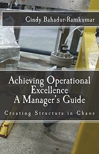 Achieving Operational Excellence A Manager's Guide