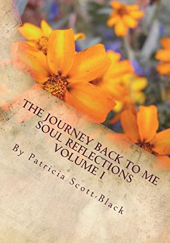 The Journey Back To Me Soul Reflections Volume I
