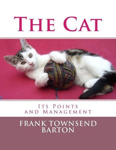 The Cat Its Points and Management