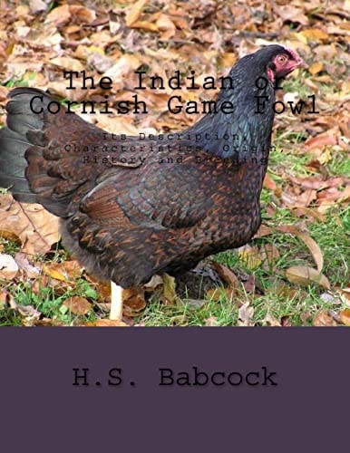 The Indian Or Cornish Game Fowl Its Description, Characteristics, Origin, History and Breeding