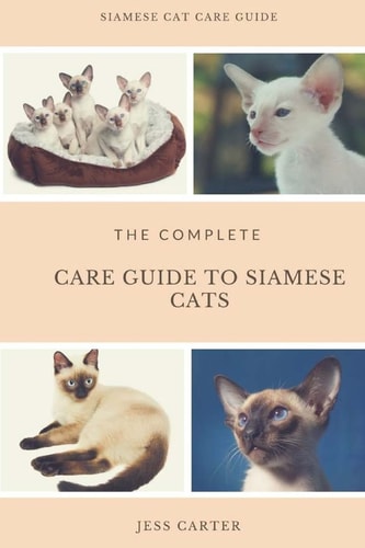 Siamese Cats Complete Care Guide to Siamese Cats