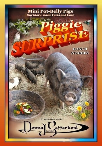 Piggie Surprise Mini Pot-Belly Pigs, Story, Basic Facts and Care