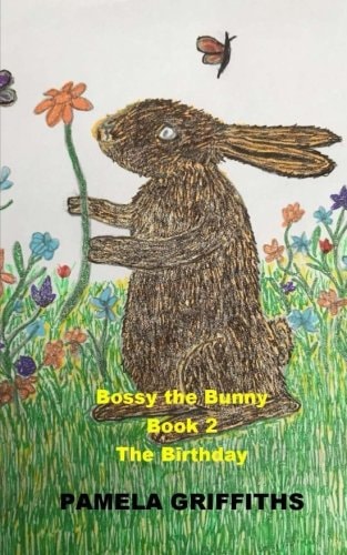 Bossy The Bunny The Birthday