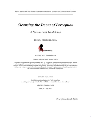 Cleansing The Doors Of Perception A Paranormal Guidebook Paperback