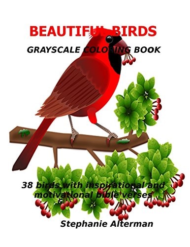 Beautiful Birds: Gray Scale Coloring Book 38 Birds with Inspirational and Motivational Bible Verses