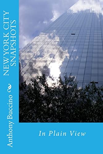 NEW YORK CITY SNAPSHOTS In Plain View