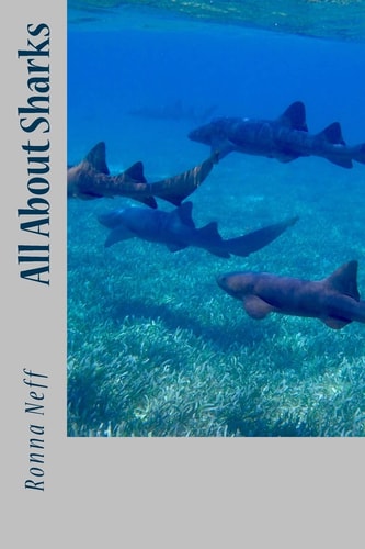 All About Sharks
