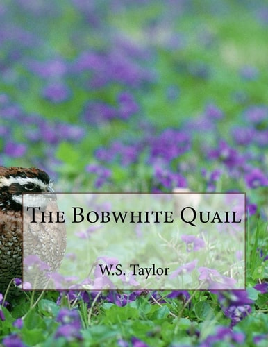 The Bobwhite Quail
