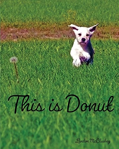 This Is Donut