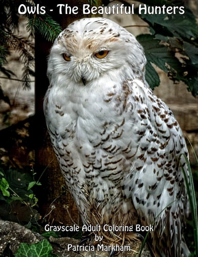 Owls - The Beautiful Hunters Grayscale Adult Coloring Book