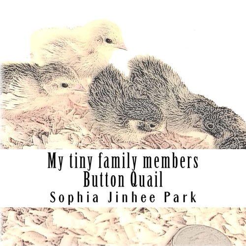 My Tiny Family Members Button Quail