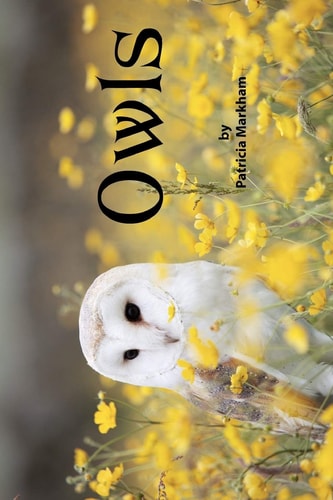 Owls Grayscale Adult Coloring Book - Travel Size