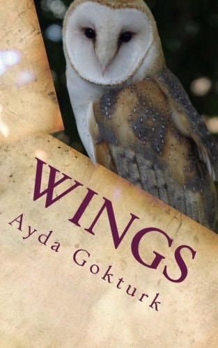 Wings If I Could Only Fly