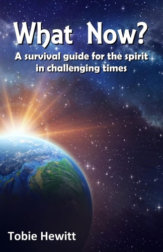 What Now? A Survival Guide for the Spirit in Challenging Times