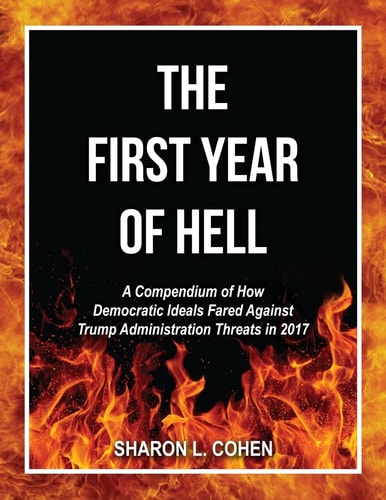 The First Year of Hell A Compendium of How Democratic Ideals Fared Against Trump Administration Threats In 2017
