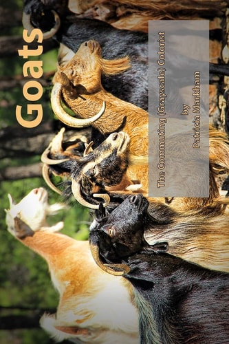 Goats The Commuting (Grayscale) Colorist