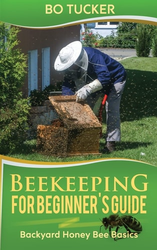 Beekeeping for Beginner's Guide Backyard Honey Bee Basics