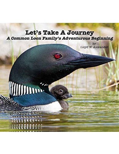 Let's Take a Journey A Common Loon Family's Adventurous Beginning