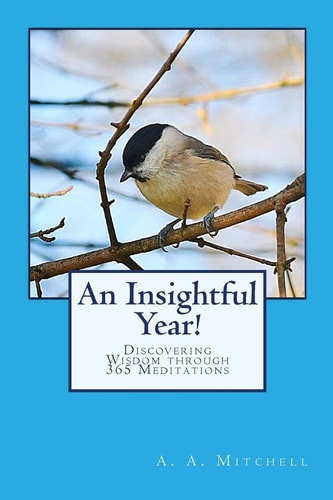 An Insightful Year! Discovering Wisdom Through 365 Meditations
