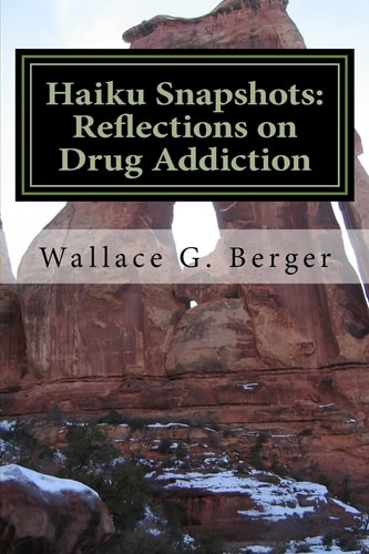 Haiku Snapshots Reflections on Drug Addiction