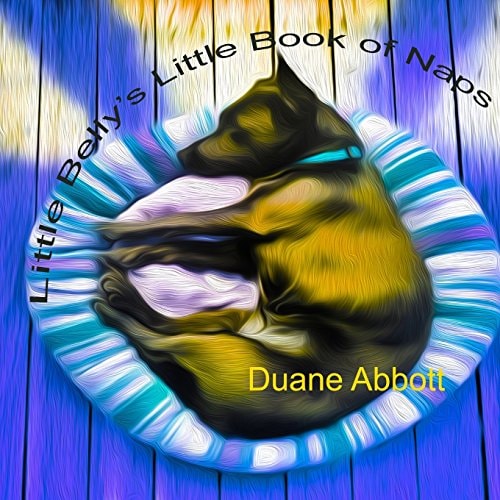 Little Belly's Little Book of Naps