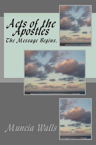 Acts of the Apostles The Message Begins.