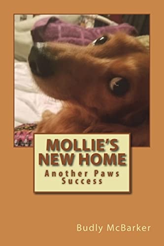 Mollie's New Home Another Paws Success