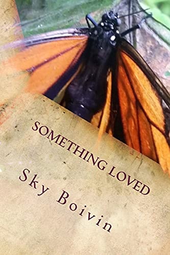 Something Loved A Collection of Love Poems to an Old Love