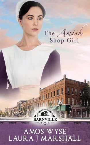 The Amish Shop Girl Barnville Stories
