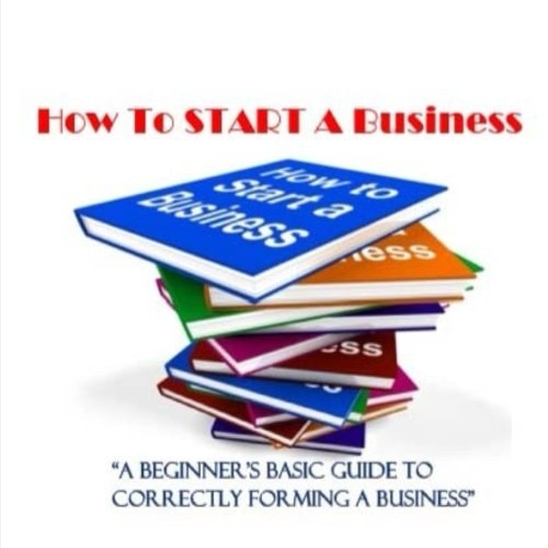 How to Start a Business A Beginner's Guide to Correctly Forming a Business, Incorporation, LLC And 501 (C) (3)