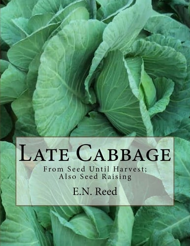 Late Cabbage From Seed Until Harvest; Also Seed Raising