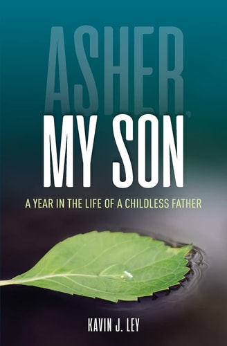 Asher, My Son A Year in the Life of a Childless Father