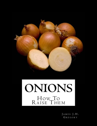 Onions How To Raise Them