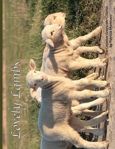 Lovely Lambs The Creative Grayscale Colorist