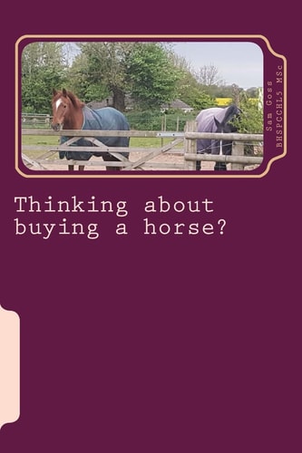 Thinking about Buying a Horse? All Those Little Things You Need to Think about Before Becoming a Horse Owner.