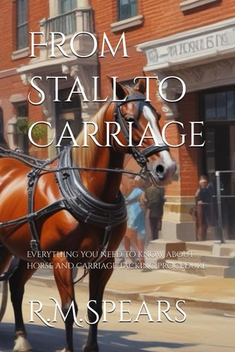 From Stall To Carriage Everything You Need to Know about Horse and Carriage Tacking Procedure