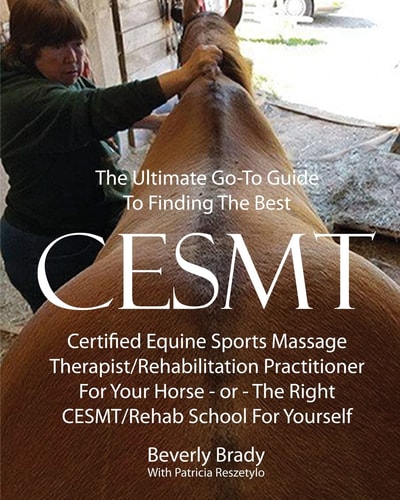 The Ultimate Go-To Guide To Finding The Best CESMT Certified Equine Sports Massage Therapist/Rehabilitation Practitioner For Your Horse Or The Right CESMT/Rehab School For Yourself