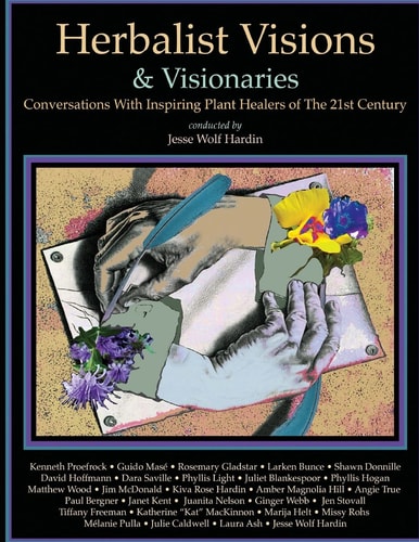 Herbalist Visions and Visionaries New Conversations with Inspiring Plant Healers of the 21st Century