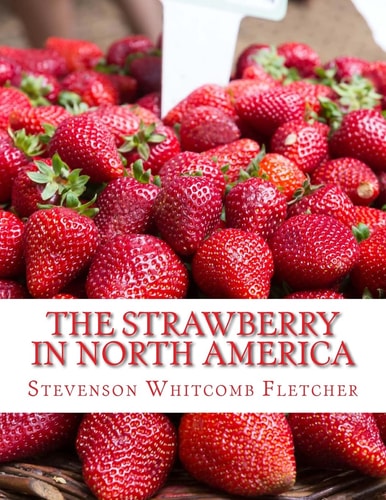 The Strawberry In North America History, Origin, Botany and Breeding