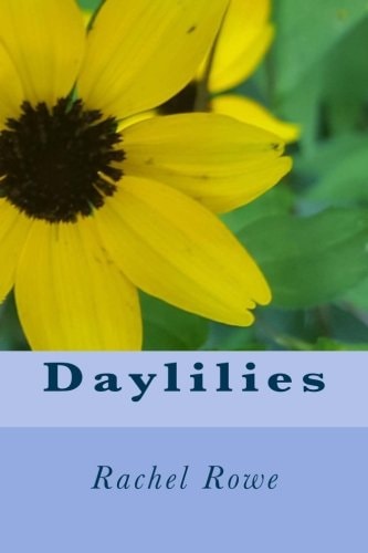 Daylilies