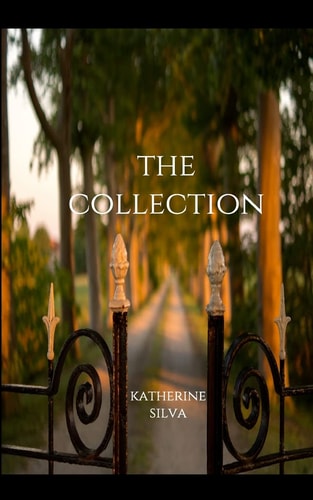 The Collection A Novella