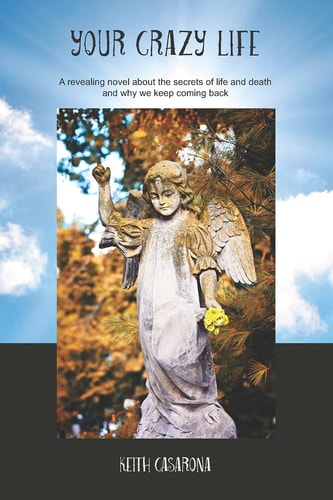 Your Crazy Life A Revealing Novel about the Secrets of Life and Death and Why We Keep Coming Back