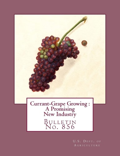 Currant-Grape Growing : a Promising New Industry Bulletin No. 856